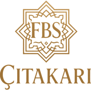 logoburhanbenekson000 logoburhanbenekson000